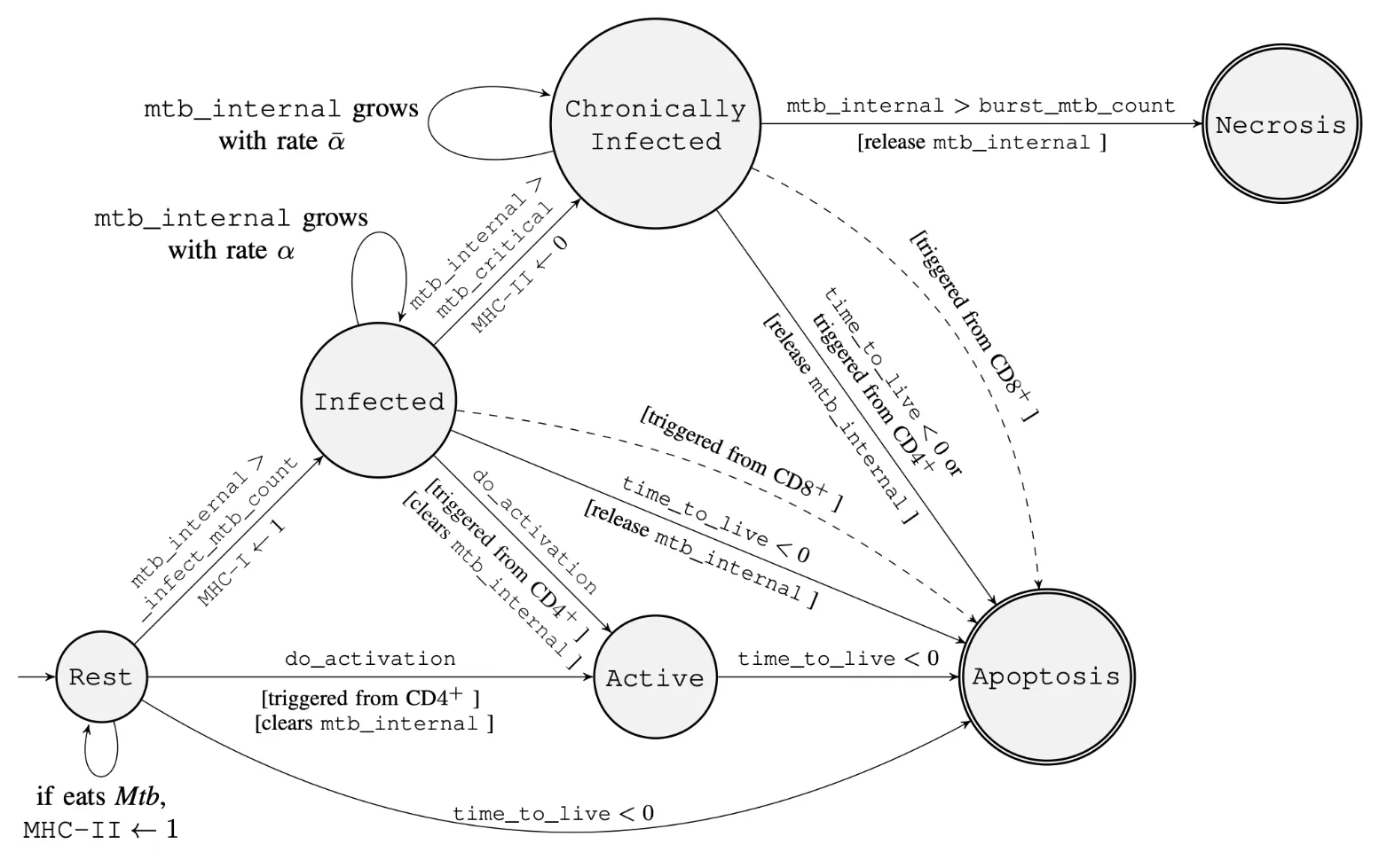 State diagram of circles labelled Rest, Infected, Chronically Infected, Active, Apoptosis and Necrosis.